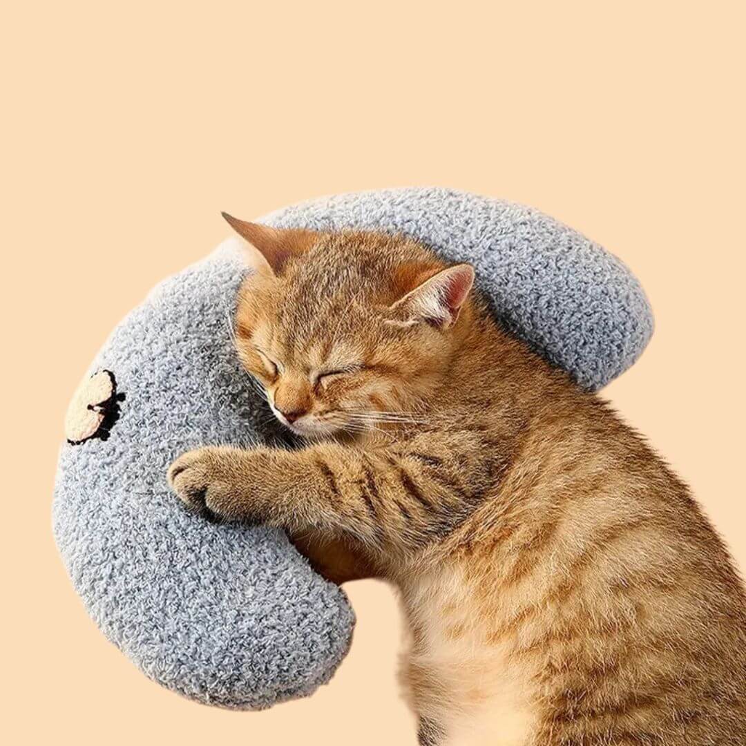 Pawllows™ Anxiety Relief Pillow for Dogs & Cats