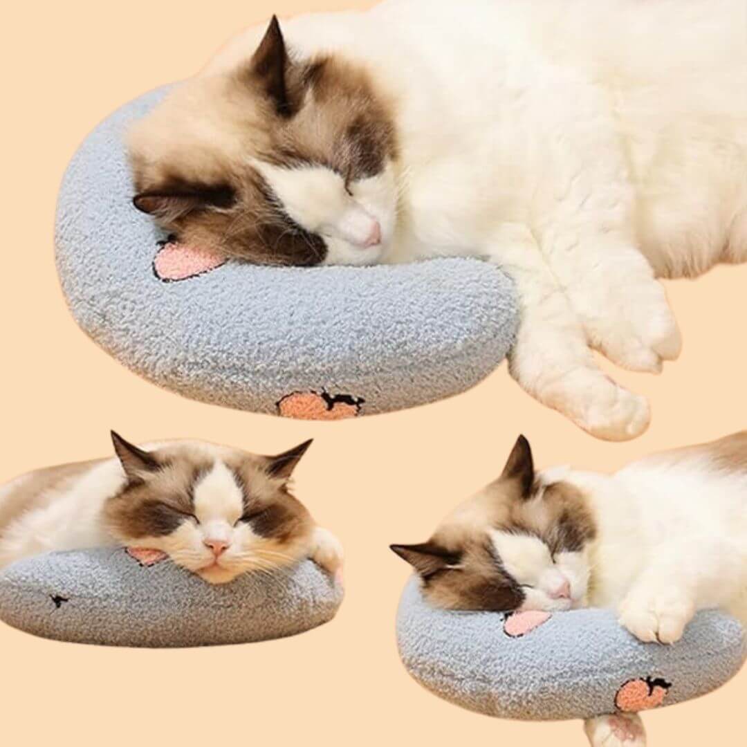 Pawllows™ Anxiety Relief Pillow for Dogs & Cats