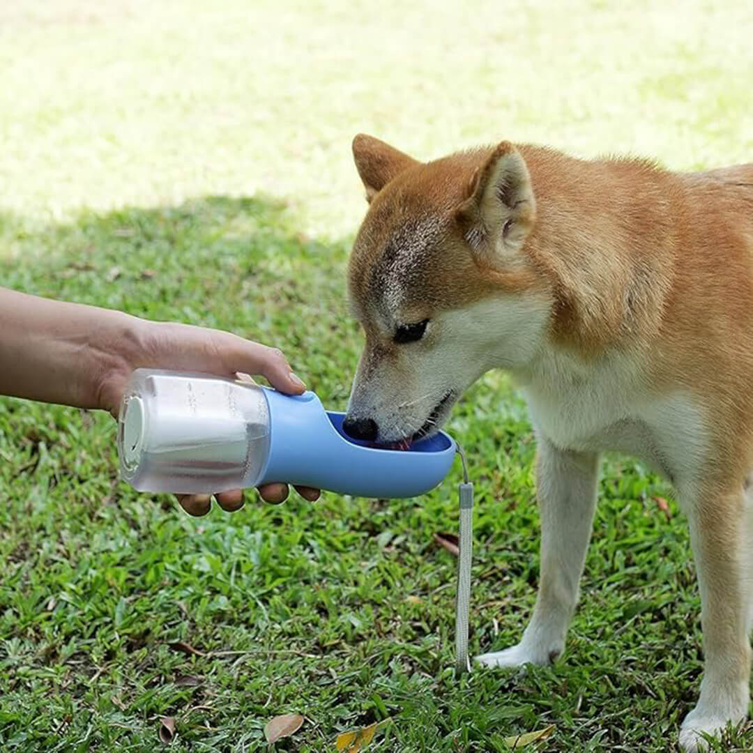 PawPal™ 3-in-1 Dog Cup for Water, Treats & Waste