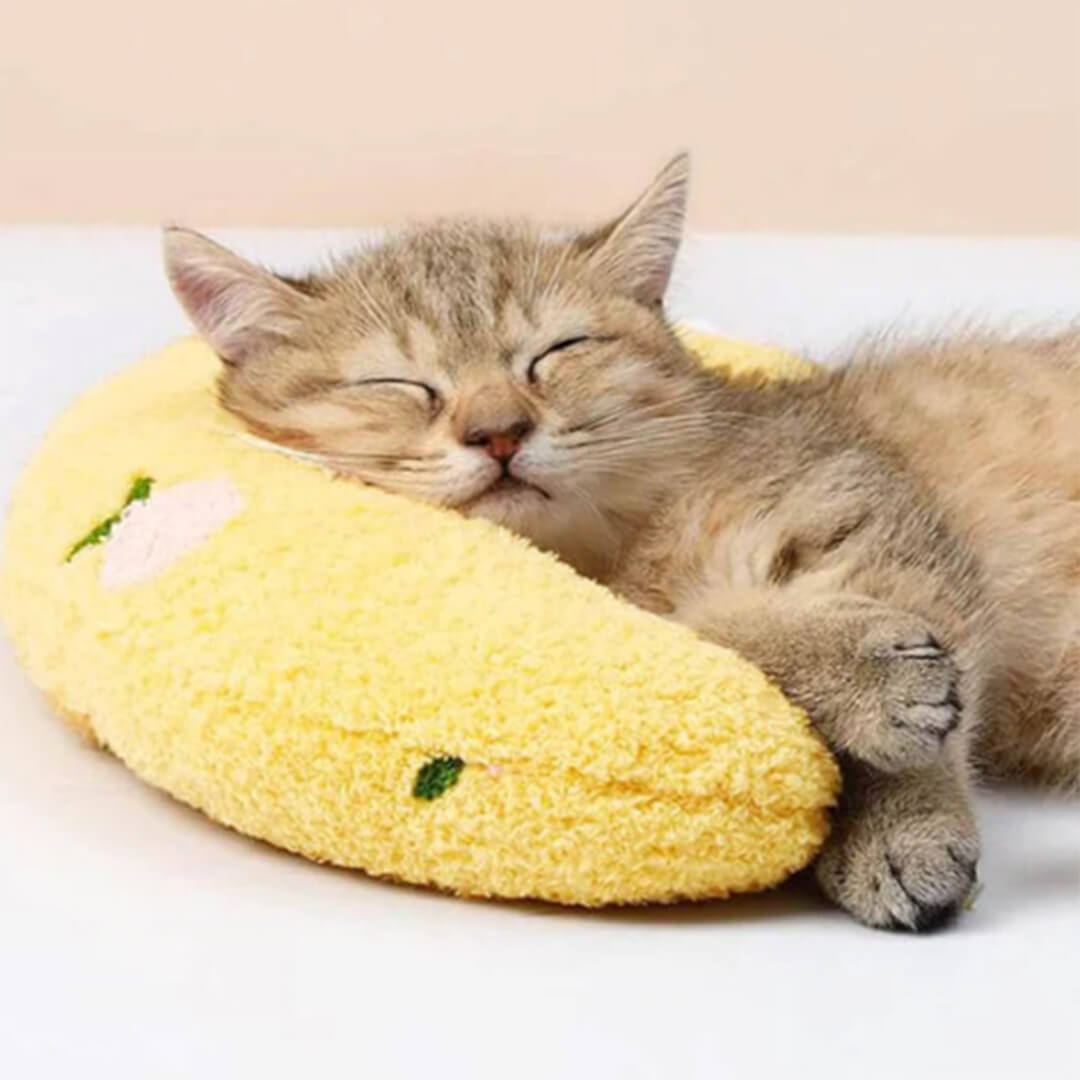 Pawllows™ Anxiety Relief Pillow for Dogs & Cats