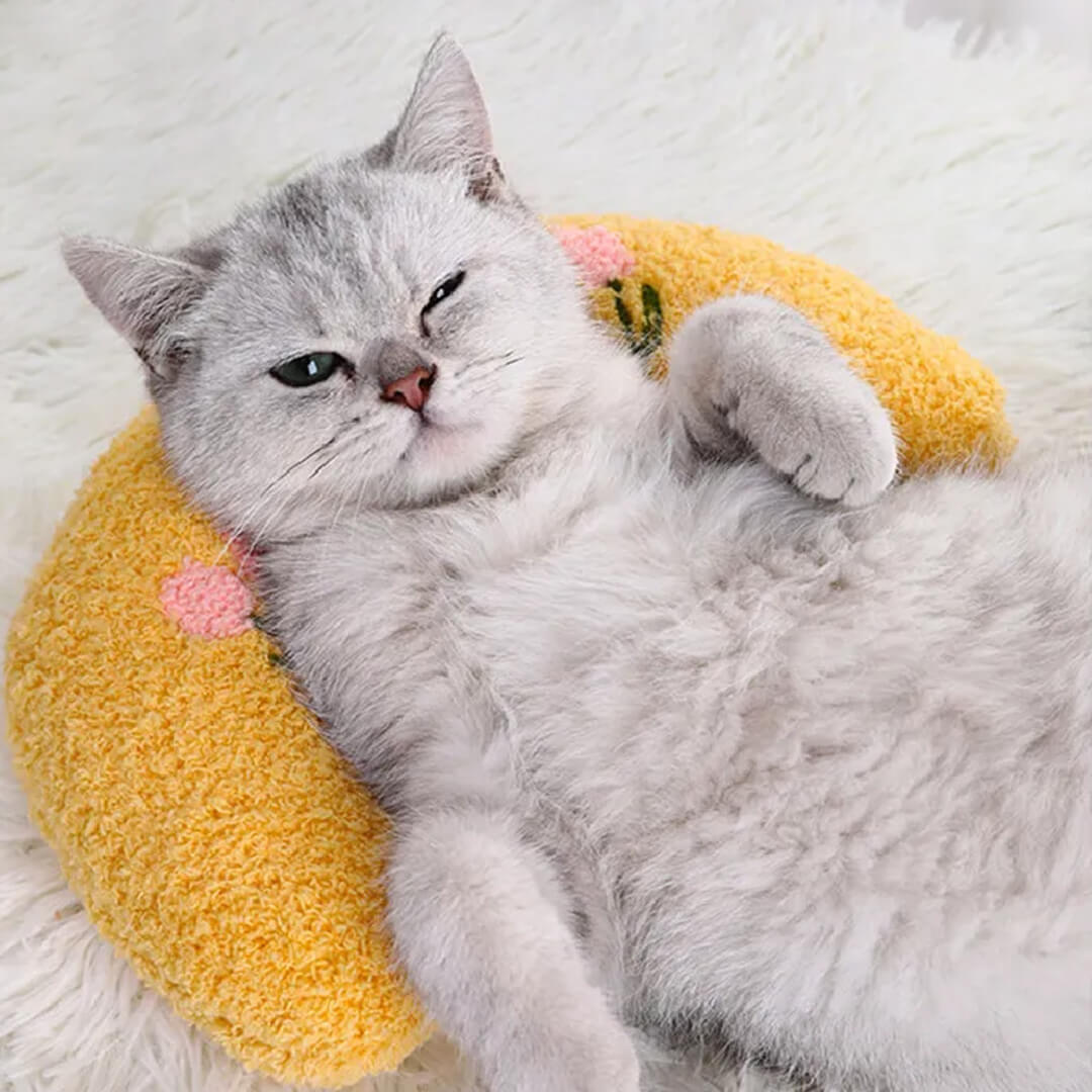 Pawllows™ Anxiety Relief Pillow for Dogs & Cats